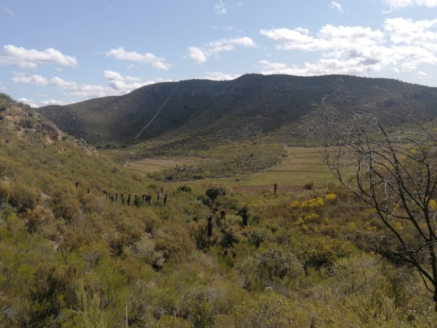 3 Bedroom Property for Sale in Joubertina Eastern Cape